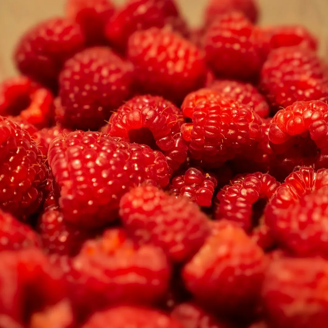 4. Raspberries: Low Sugar, High Fiber, Underrated (Image Credits: Unsplash)
