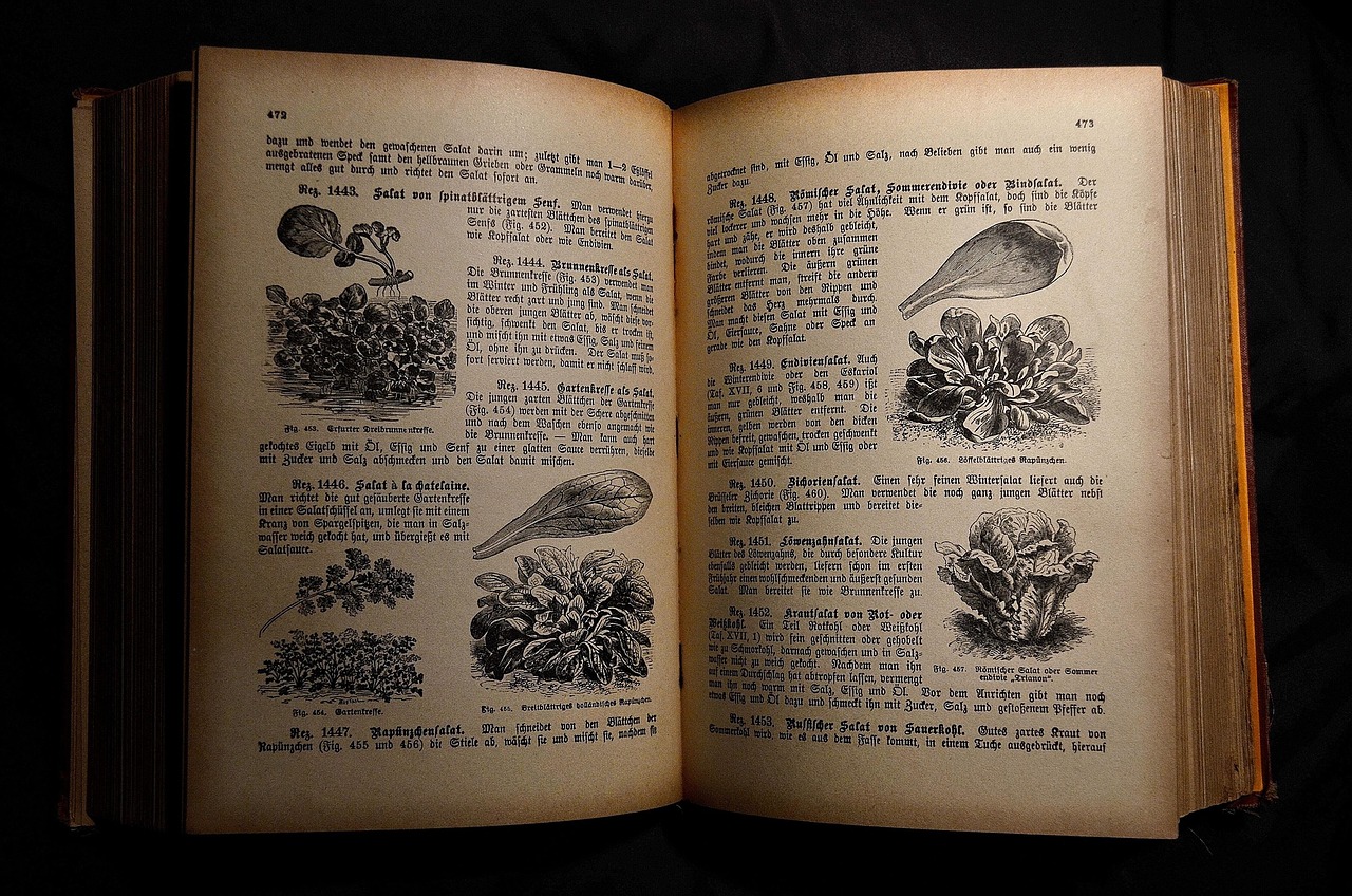 The Recipe Collection That Refuses to Die (image credits: pixabay)
