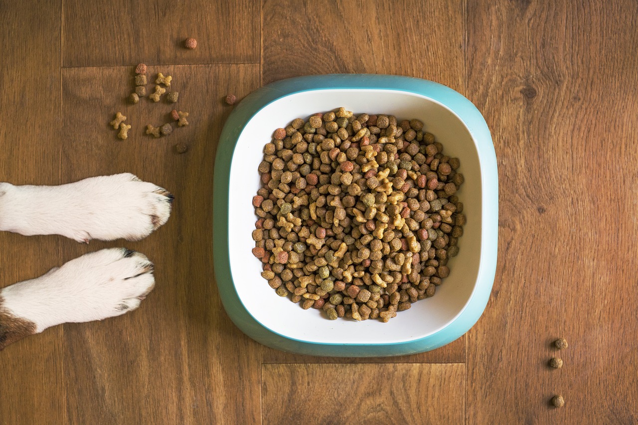 Grain-Free Diets (image credits: pixabay)