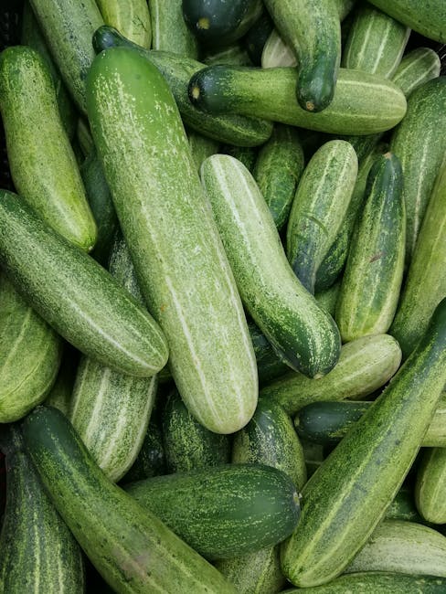 7. Cucumbers (image credits: pexels)