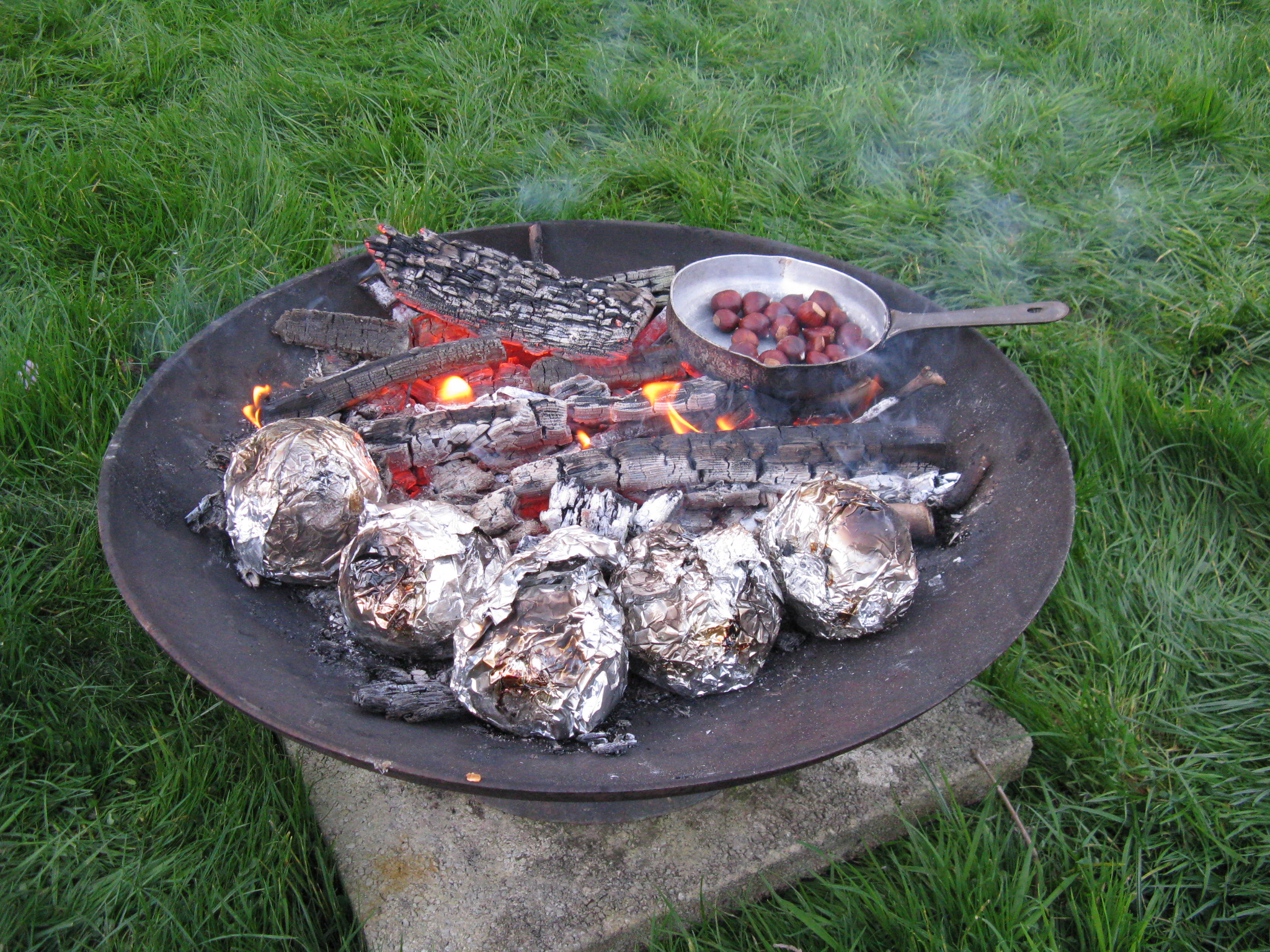 Potatoes Wrapped in Foil – The Botulism Time Bomb (image credits: wikimedia)