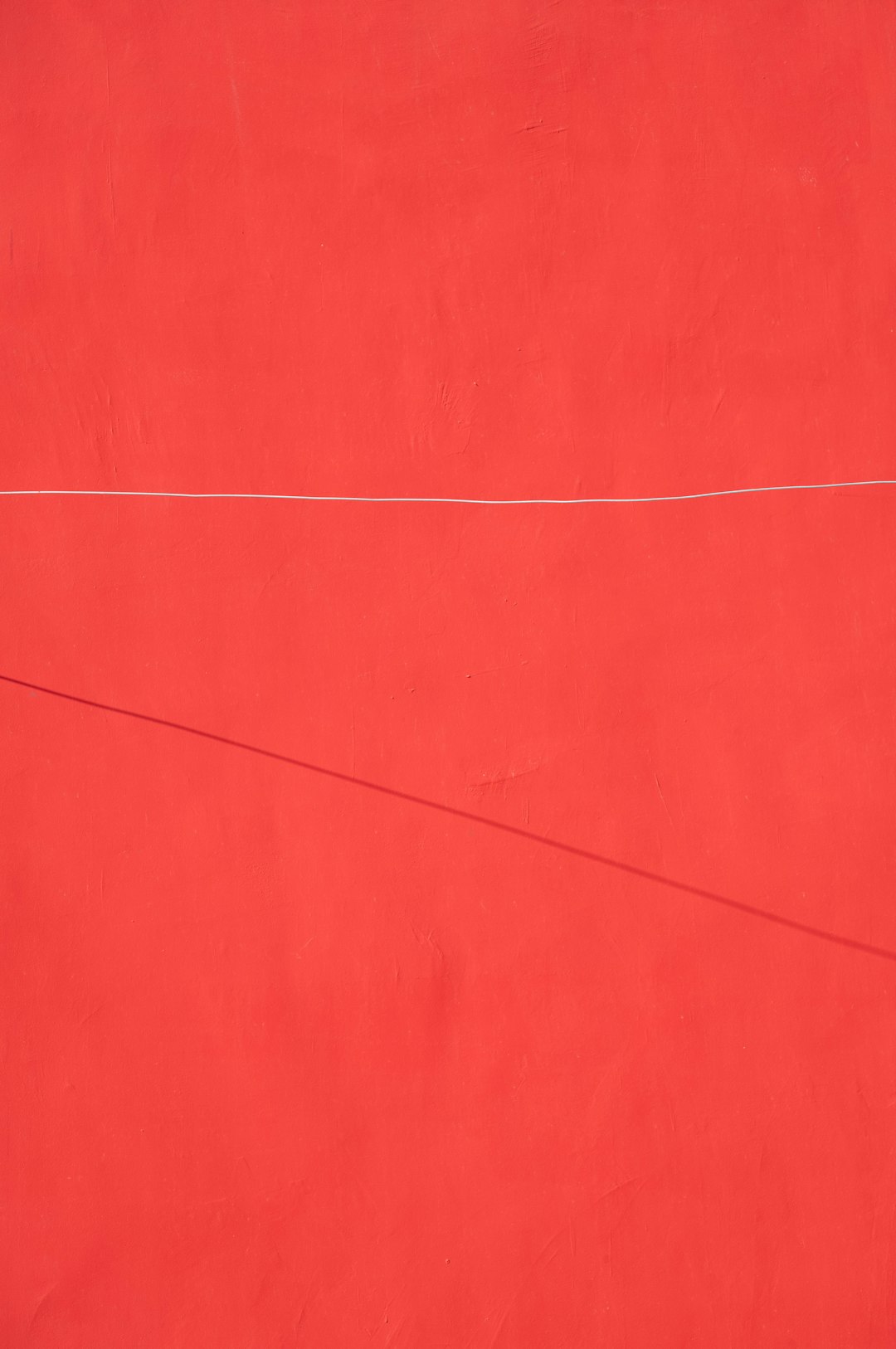 Digestive Support: Gentle and Effective (image credits: unsplash)