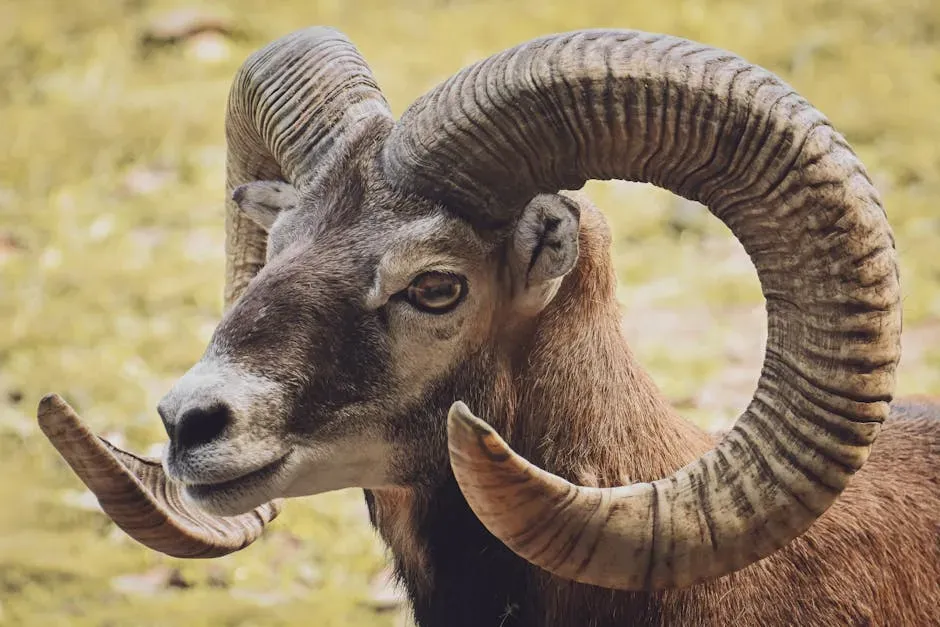 6. Aries: The Bold First Mover (Image Credits: Pexels)