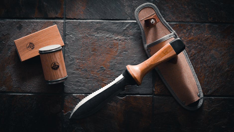 Recognizing the Role of Knife Maintenance (image credits: pexels)