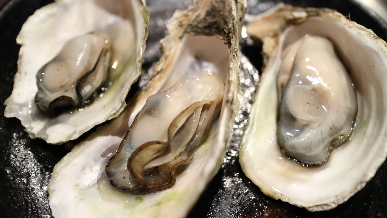 Oysters: The Seafood Secret to Iron and Hair Growth (image credits: pixabay)