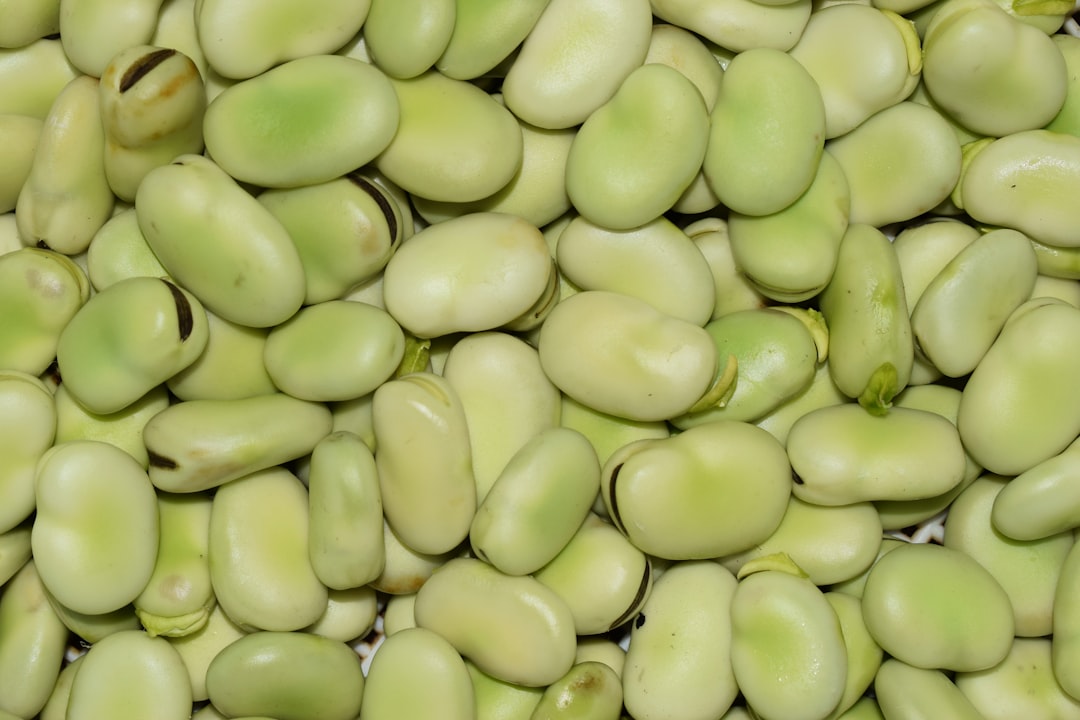 Fava Beans (image credits: unsplash)