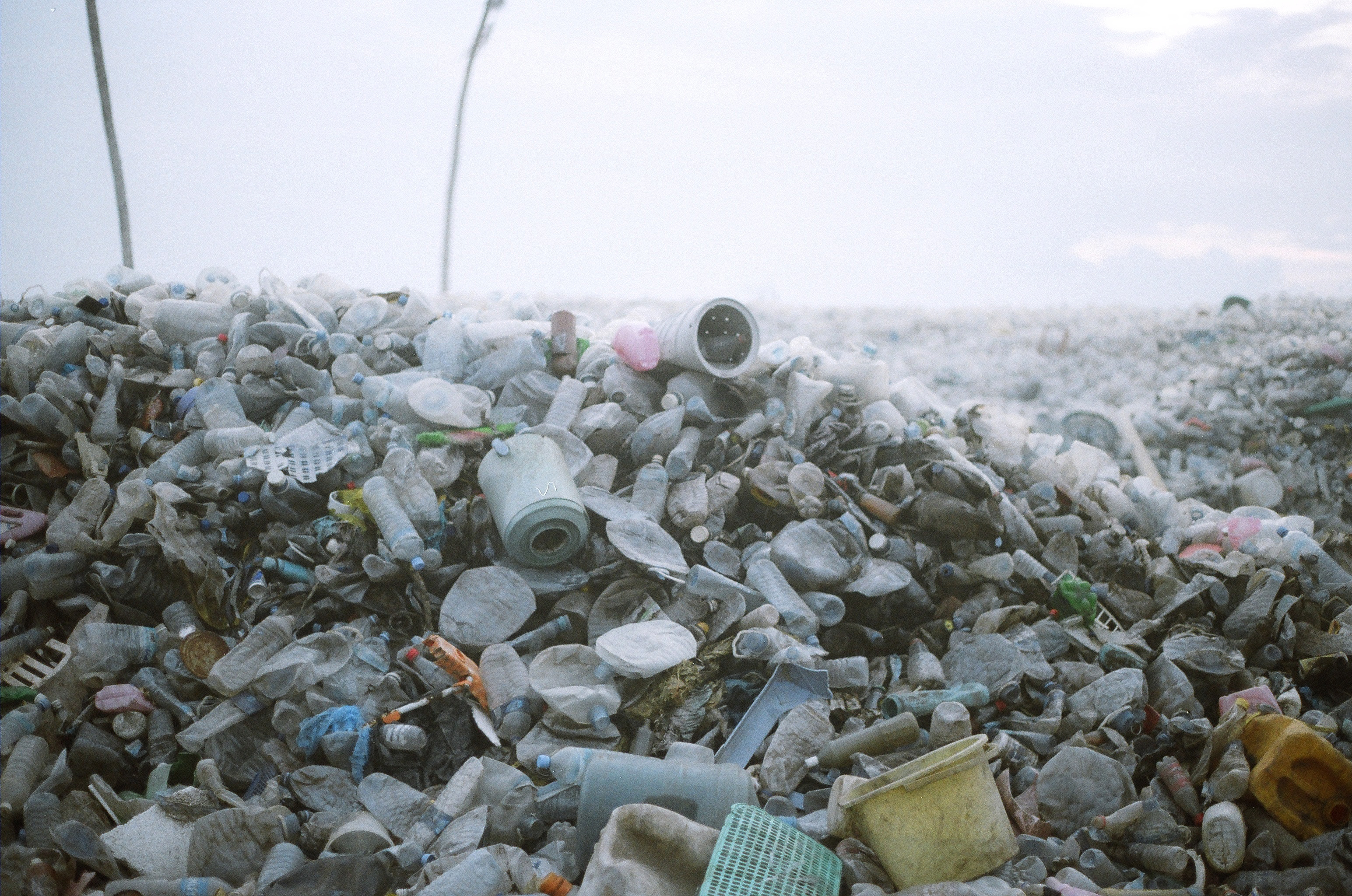 Environmental Impact: Cheap Now, Costly Later (image credits: wikimedia)