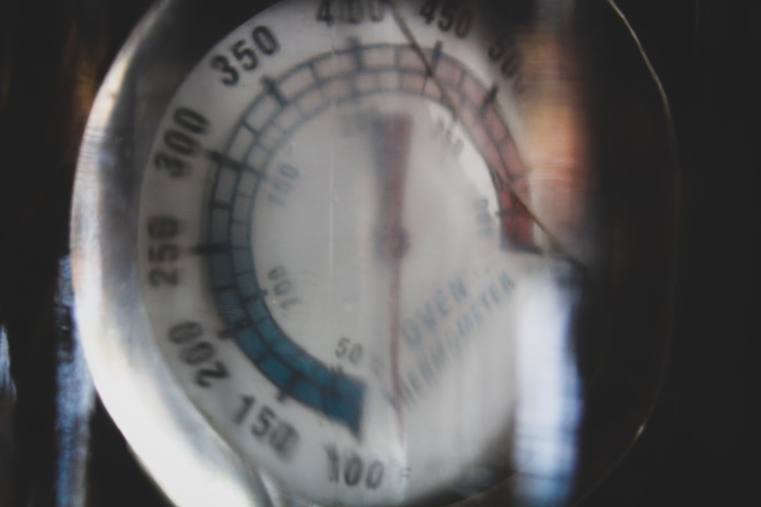 6. Oven Thermometer (image credits: unsplash)