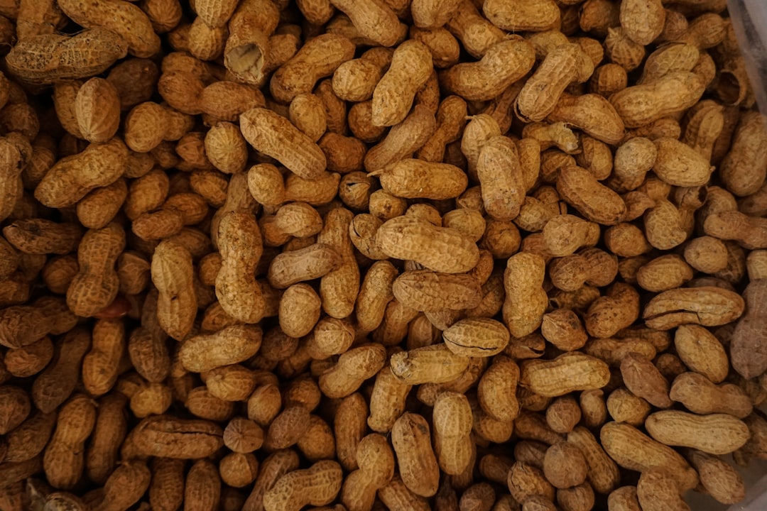 Alabama's Peanut Pride: The Underdog Runner-Up (image credits: unsplash)