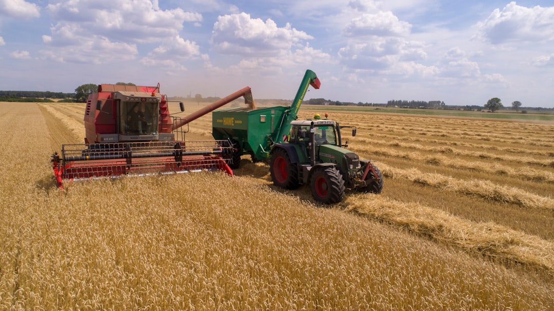 Italy's Surprising Position in Global Wheat Spending (Image Credits: Unsplash)