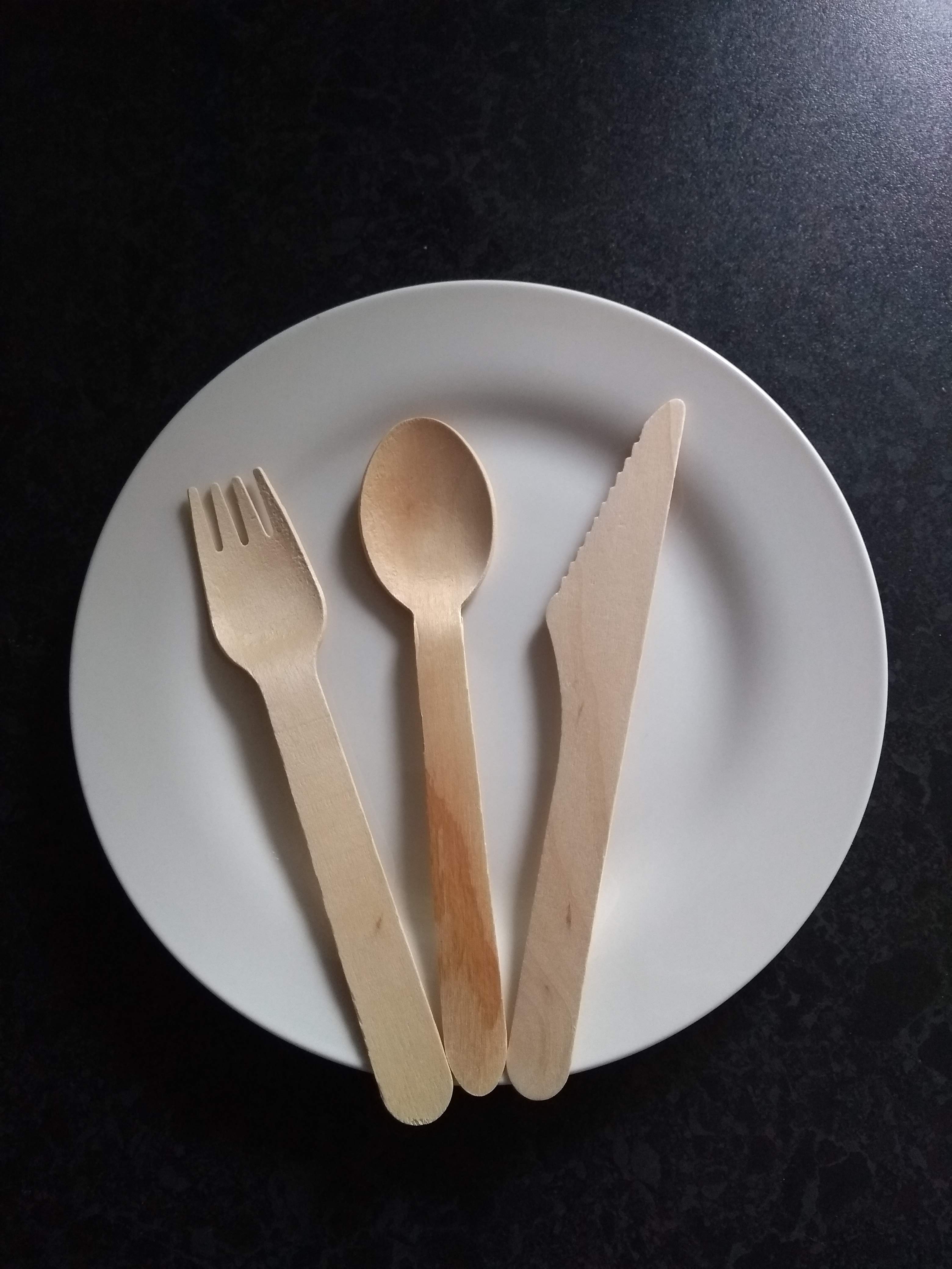 Alternatives to Plastic Utensils (image credits: wikimedia)