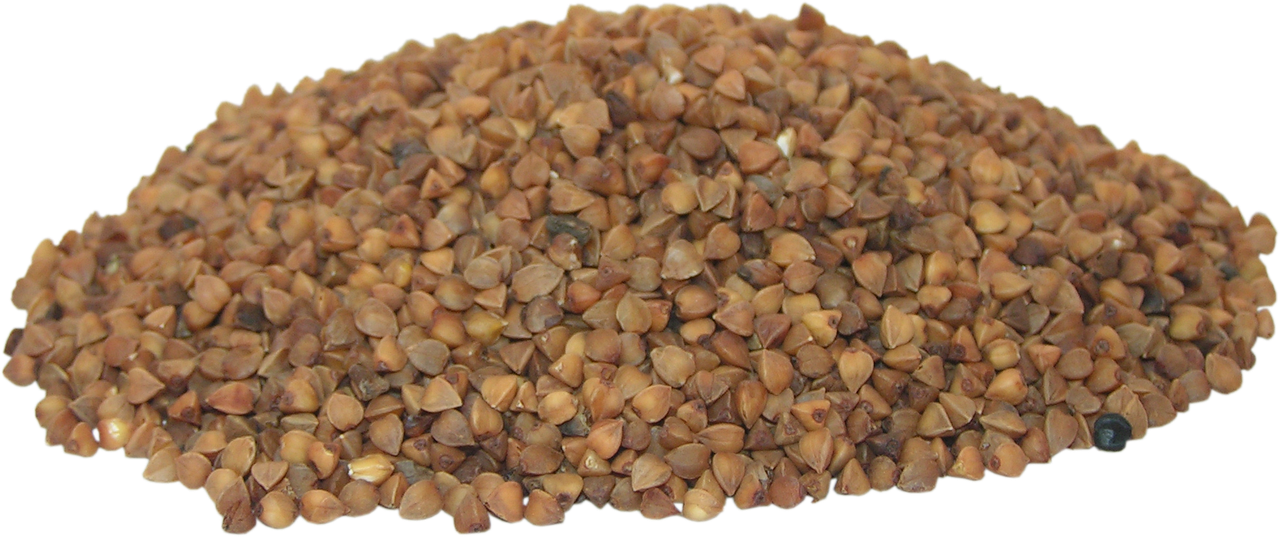 Buckwheat (image credits: pixabay)