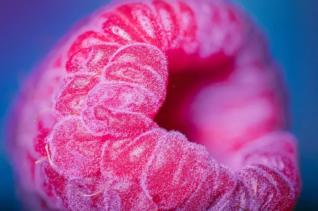 The Birth of a Forgotten Giant: What Fruit Wrinkles Actually Were (Image Credits: Unsplash)