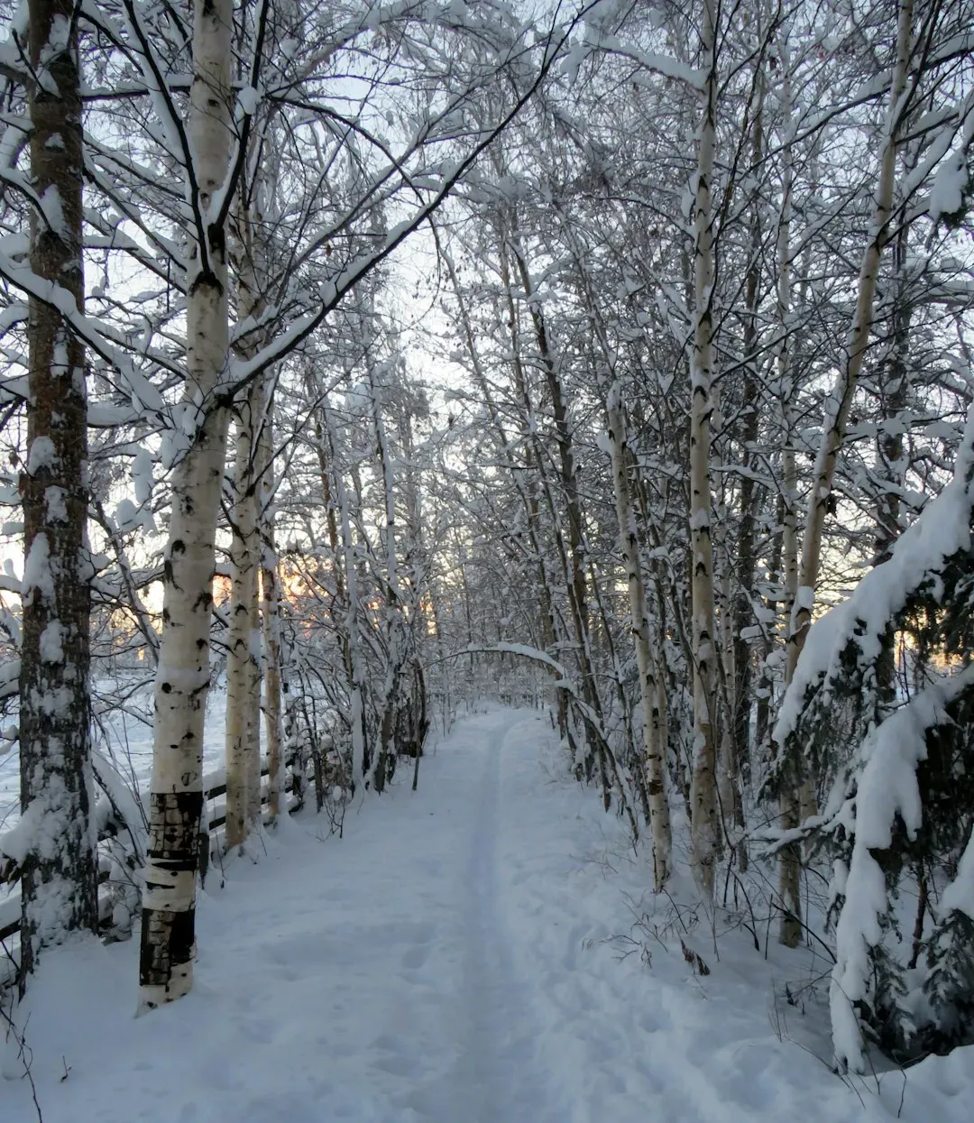 Fairbanks, Alaska (Image Credits: Unsplash)