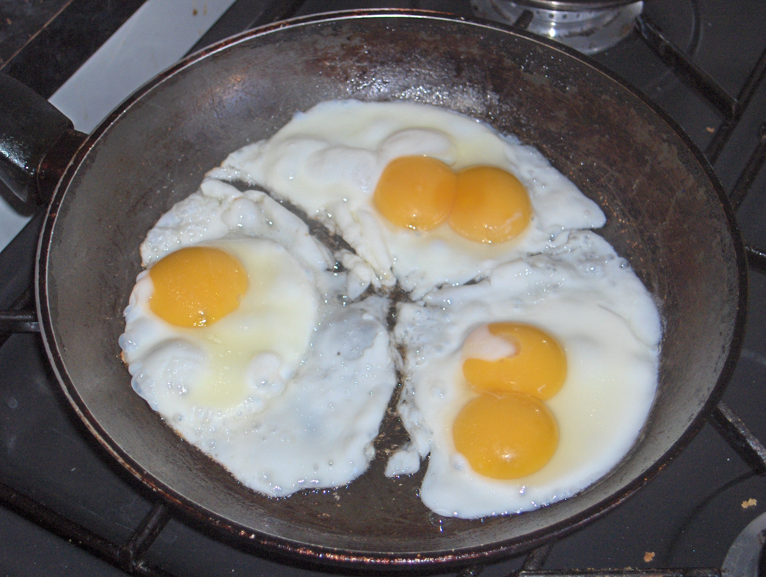 Chemicals That Can Leach Into Your Food (image credits: wikimedia)