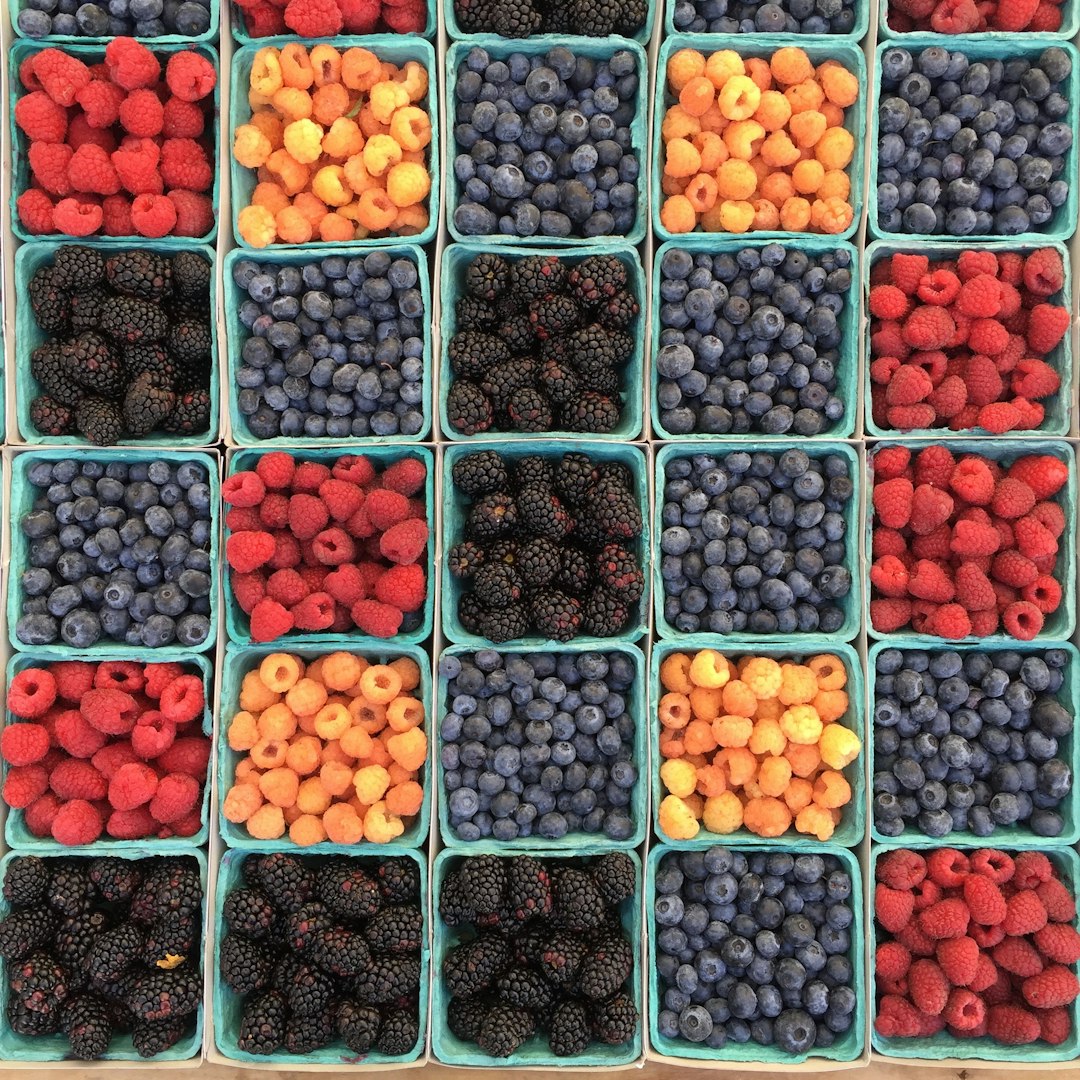 Spelt Berries: Ancient Grain, Modern Storage Problems (image credits: unsplash)