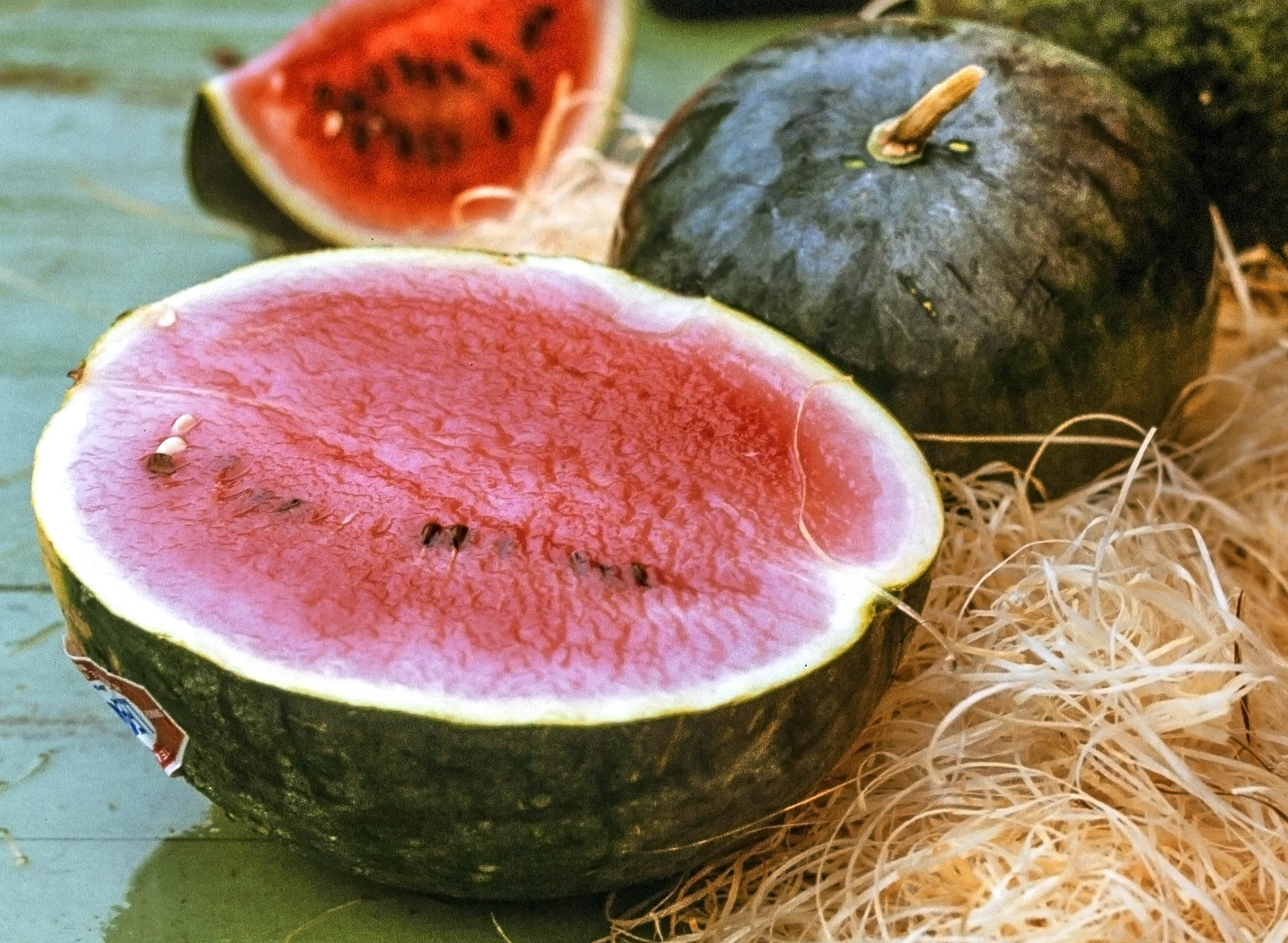 Moon and Stars Watermelon: Nature's Night Sky (Image Credits: Wikimedia)