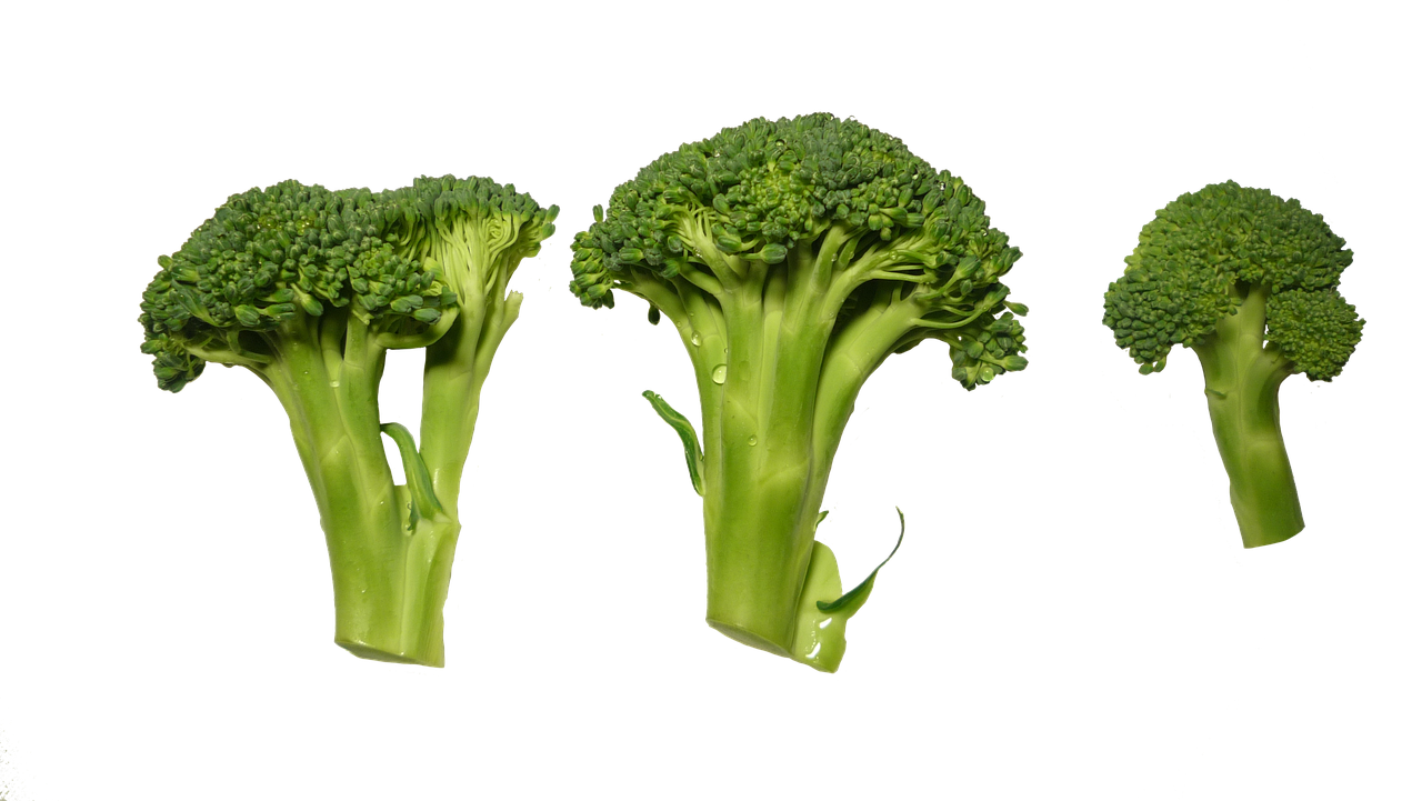 Broccoli: The Low-Calorie Vegetable (image credits: pixabay)