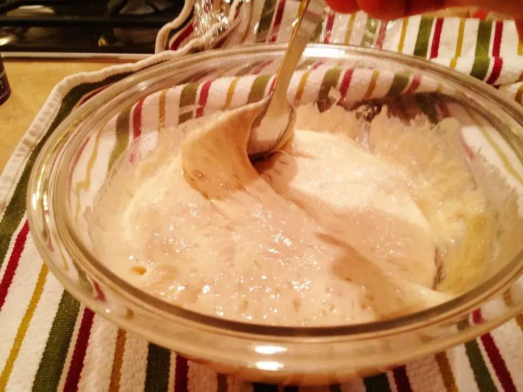 Acetic Acid Bacteria: The Overlooked Players (Image Credits: Flickr)