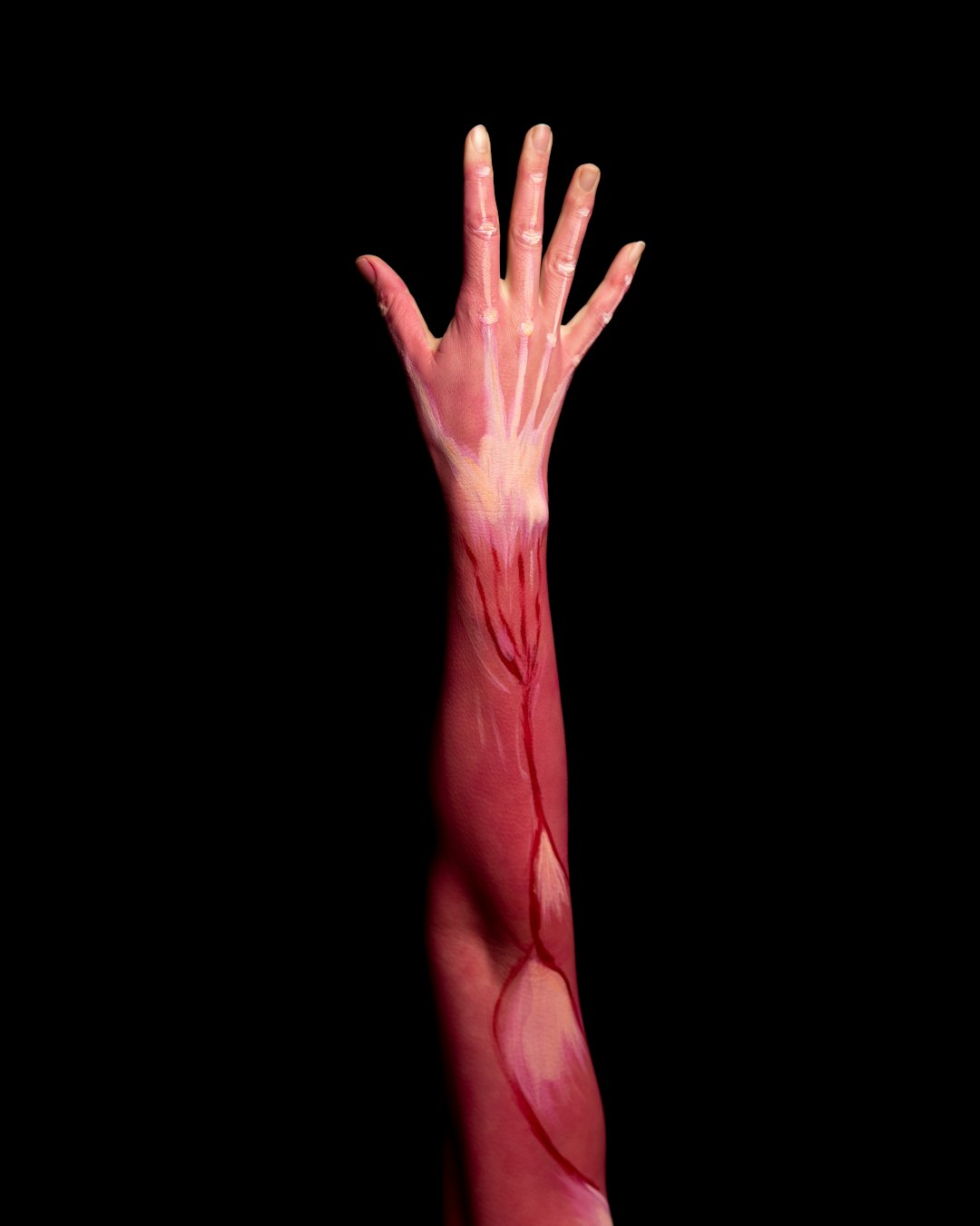 7. The Role of Protein in Muscle Mass Preservation (image credits: unsplash)