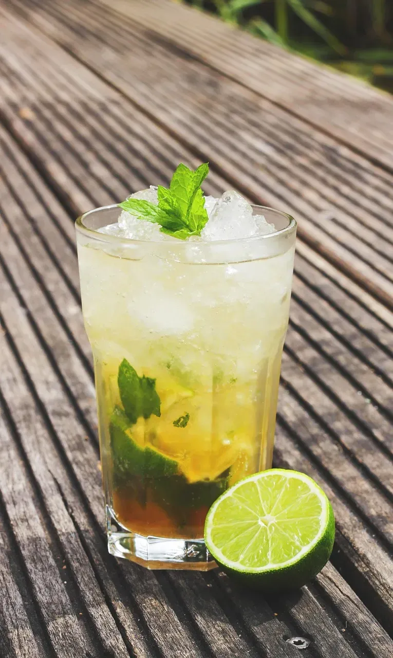 Sagittarius: Peppermint Mojito Mocktail for Adventurous Relief (Image Credits: Pixabay)