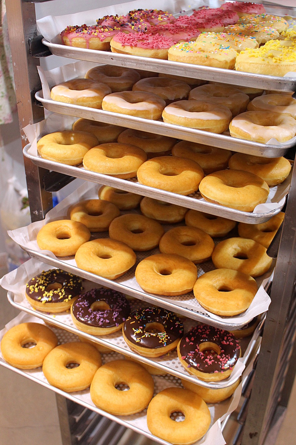 High Fructose Corn Syrup: The Sweet Trap (image credits: wikimedia)