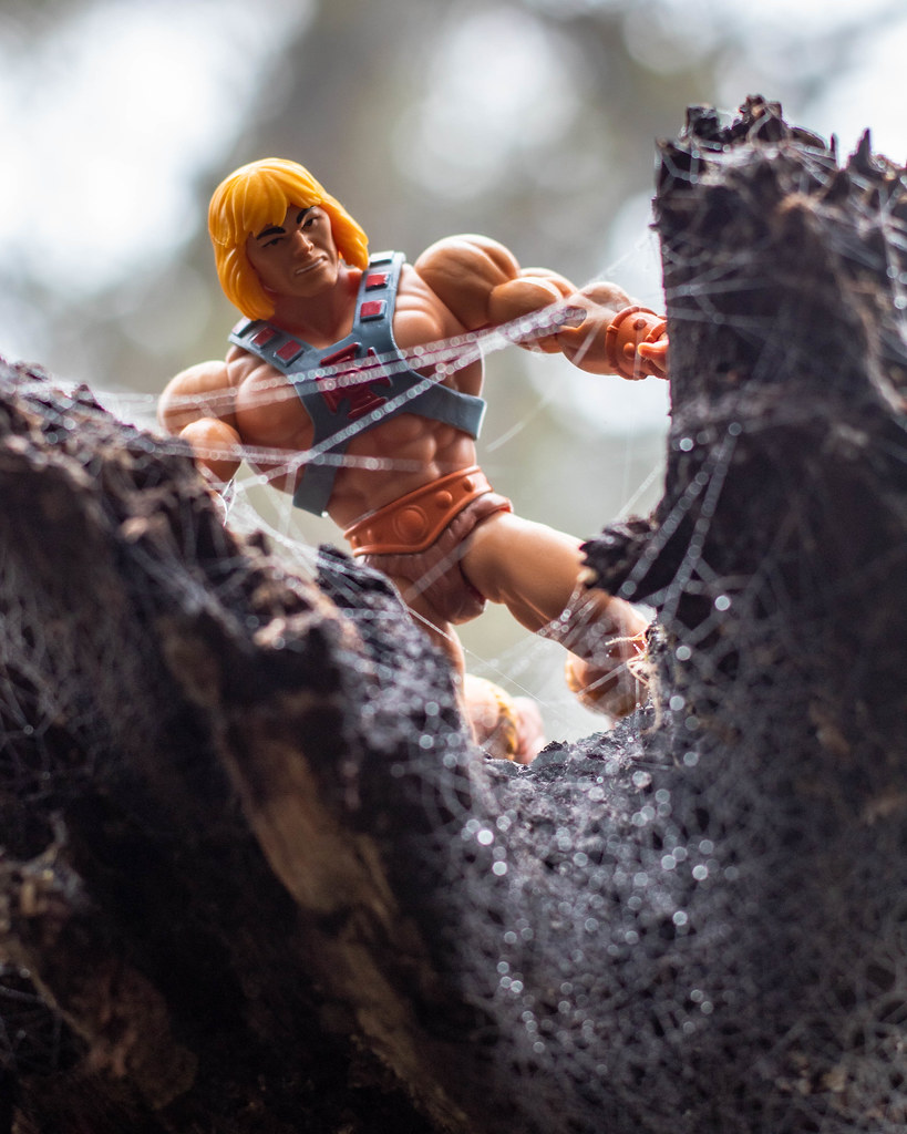 He-Man Action Figures: Masters of Value (image credits: flickr)
