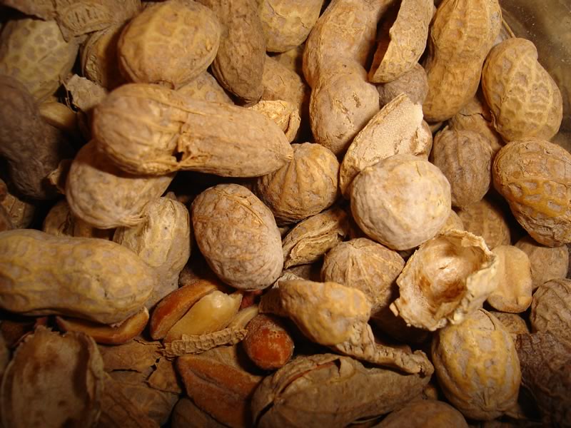 Texas's Peanut Comeback: The Lone Star State's Agricultural Diversification (image credits: flickr)