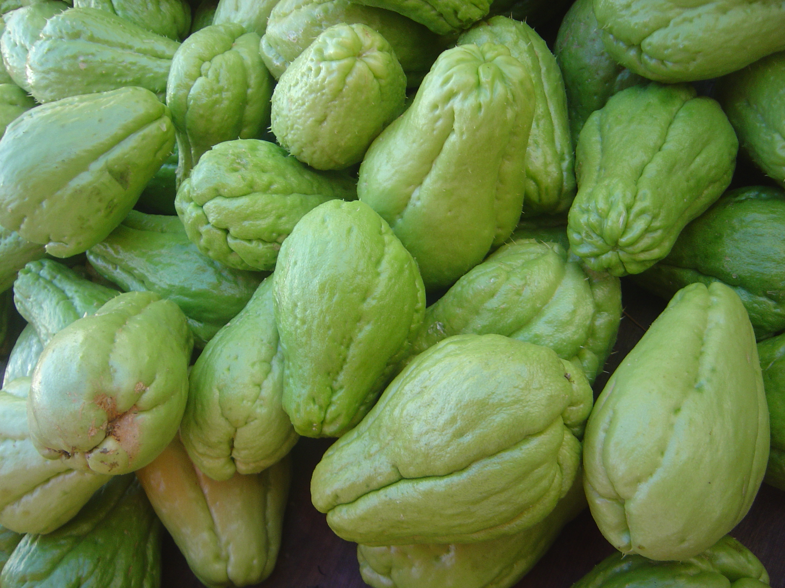 Chayote (image credits: wikimedia)
