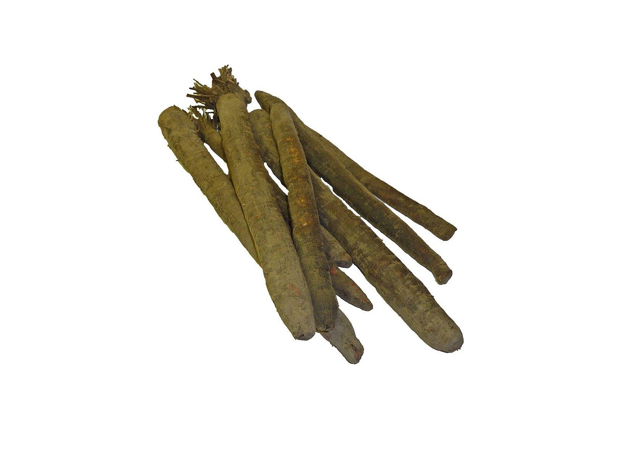 Black Salsify: The European Delicacy That Americans Forgot (image credits: pixabay)