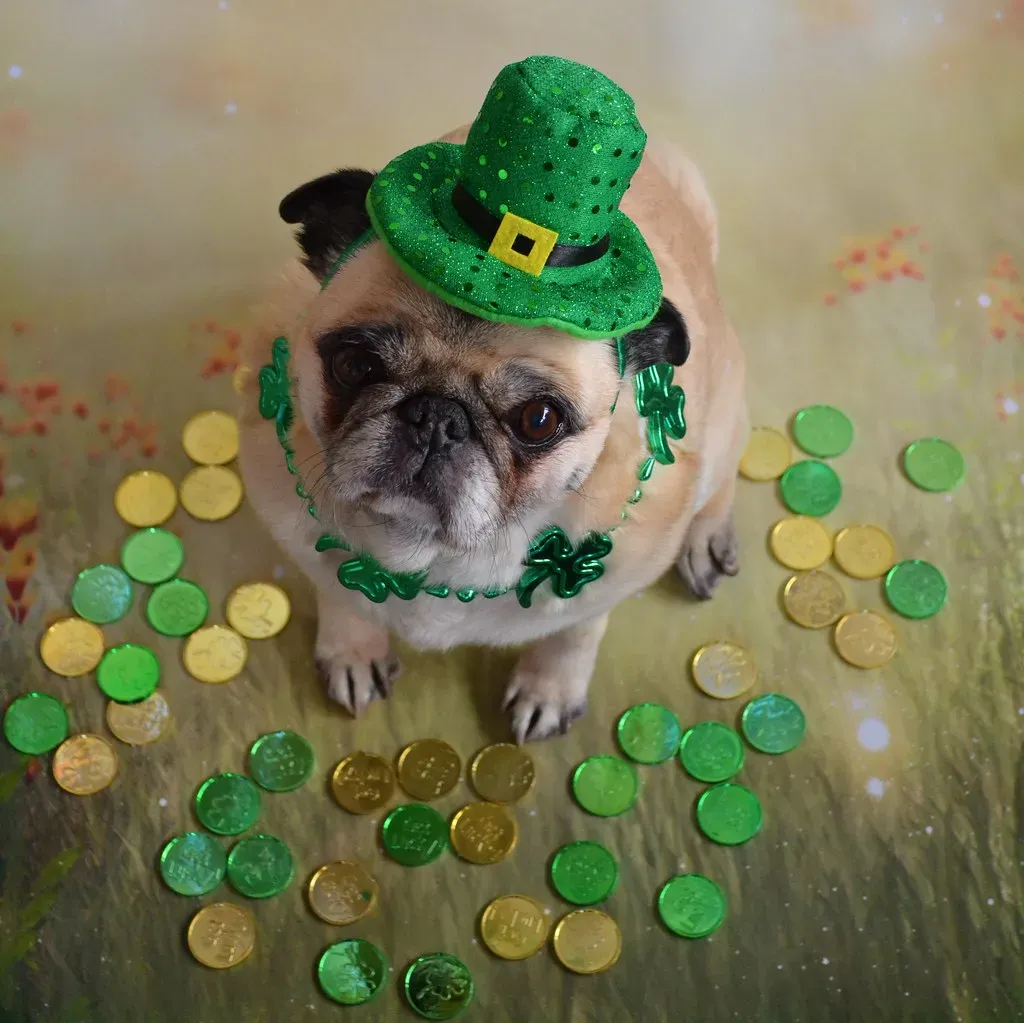 Lucky the Leprechaun (Lucky Charms) - Magically Mischievous Since 1964 (DaPuglet, Flickr, CC BY-SA 2.0)
