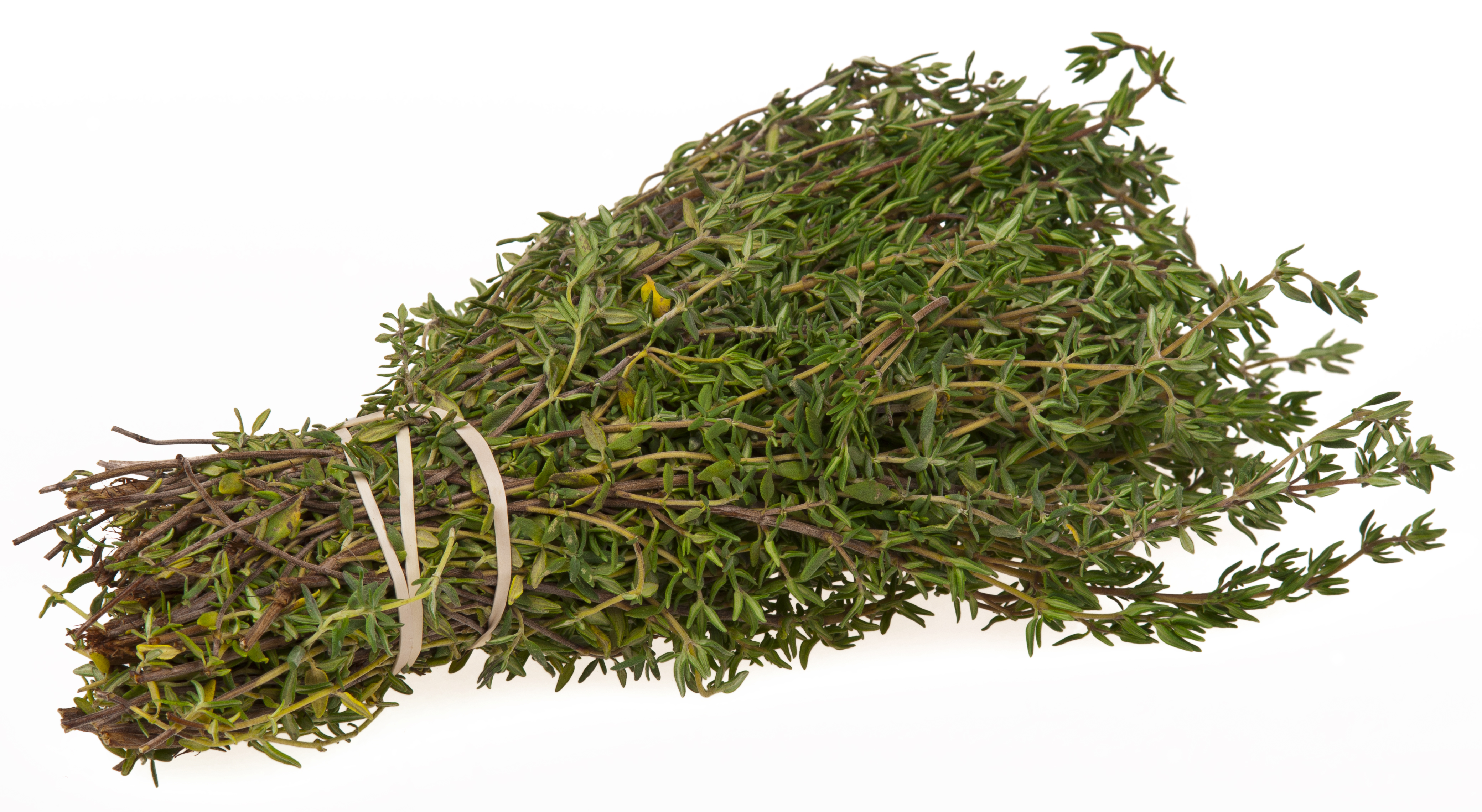 Thyme: Fragrant and Fearless (image credits: wikimedia)