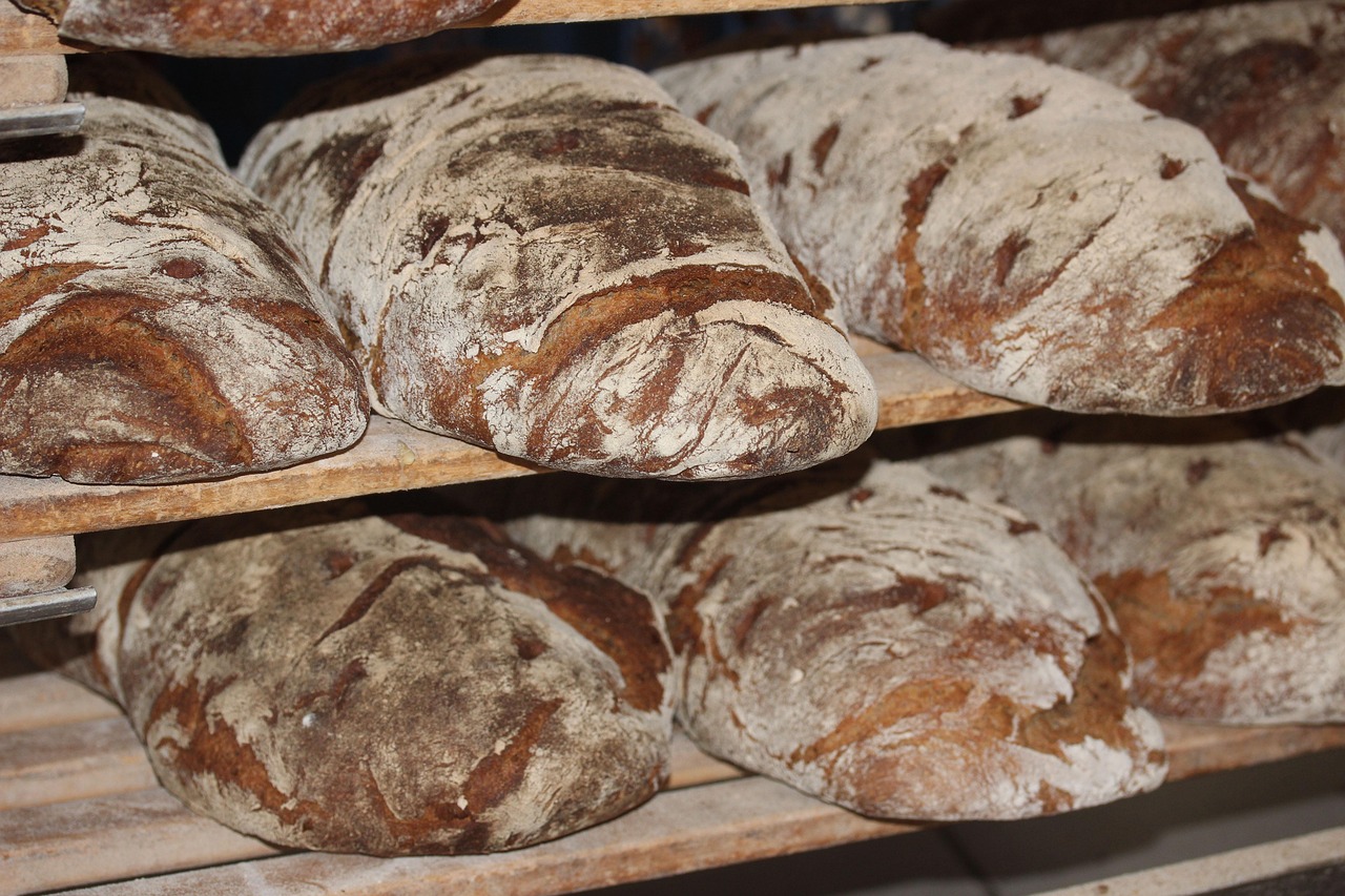 Portion Size: How Much Bread Is Too Much? (image credits: pixabay)