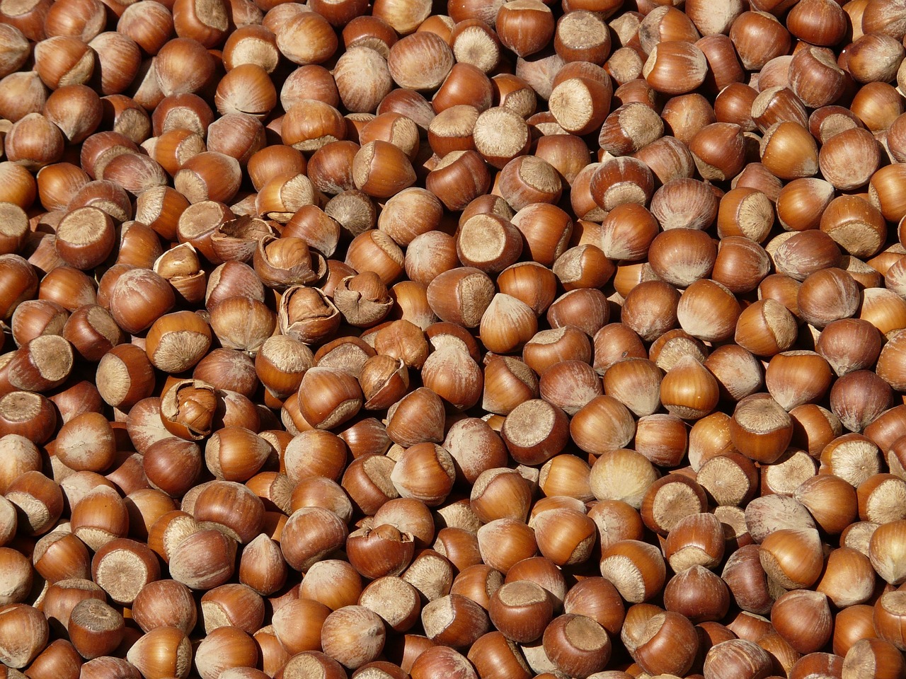 4. Snack on Nuts—But Watch the Portion Size (image credits: pixabay)