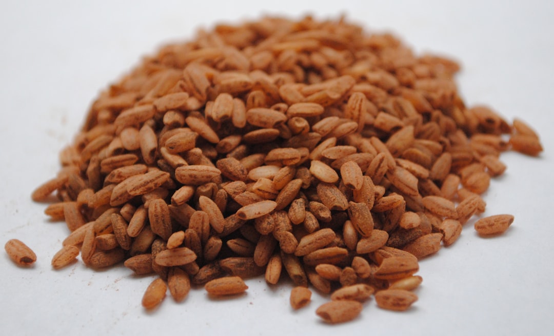 Brown Rice: The Whole Grain Choice (image credits: unsplash)