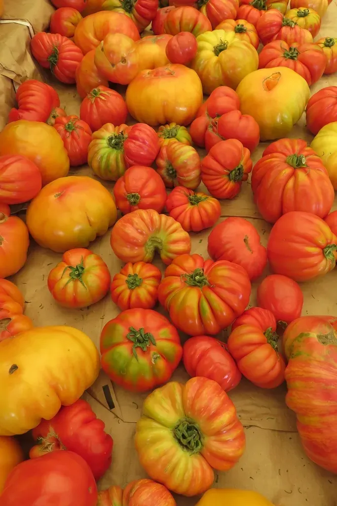 Color as a Clue: What the Rainbow of Heirlooms Really Signals (Image Credits: Rawpixel)