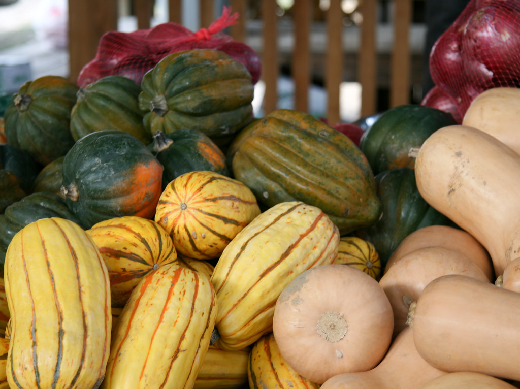 Winter Squash Makes Its Fall Debut (image credits: flickr)