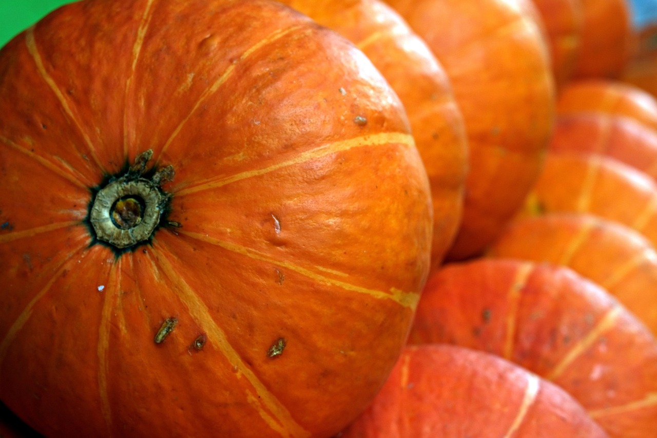 Winter Squash Develops Deep, Caramelized Sweetness (image credits: pixabay)