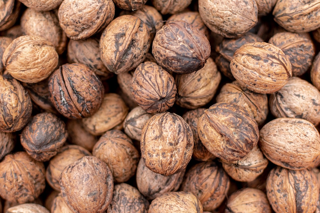 Walnuts: Omega-3 Powerhouses for Fat Burning (image credits: unsplash)