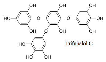 The Polyphenol Power Hidden in Bitter Foods (image credits: wikimedia)