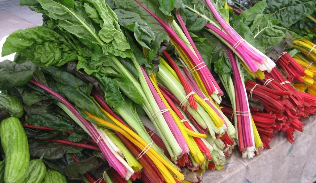 Aquarius and Pisces: Rainbow Chard (Image Credits: Flickr)