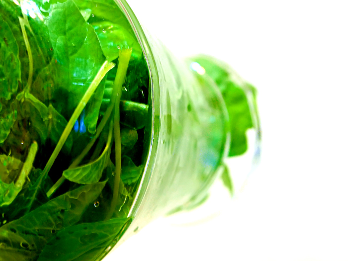 Spinach Salad: Leafy Greens for a Clear Mind (image credits: wikimedia)