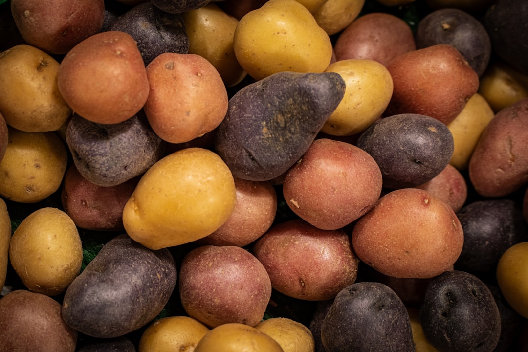 Variety Selection for Storage Success (image credits: unsplash)