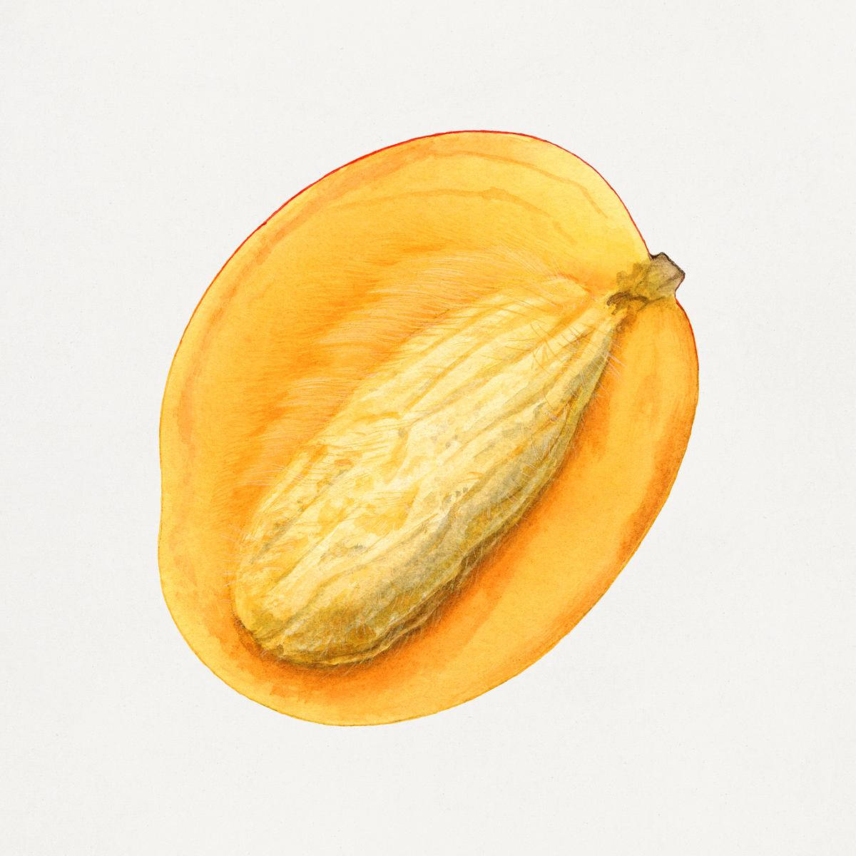 Mangoes: Tropical Temptation with a Sugar Punch (image credits: rawpixel)