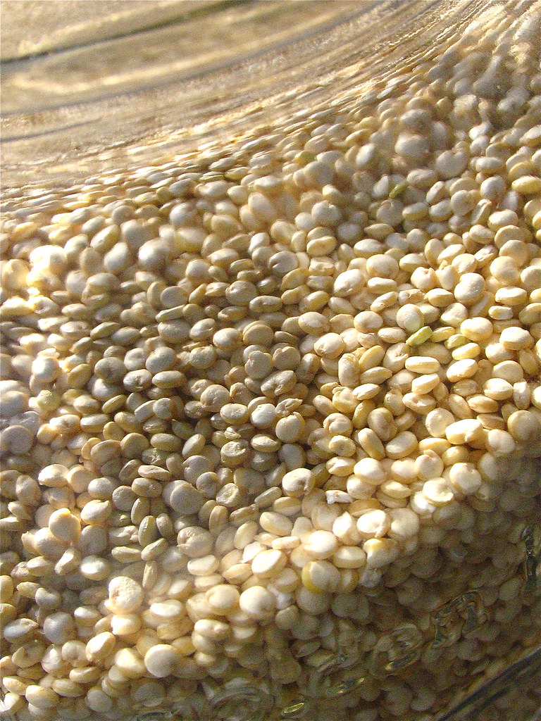 Quinoa: The Complete Protein Grain (image credits: flickr)