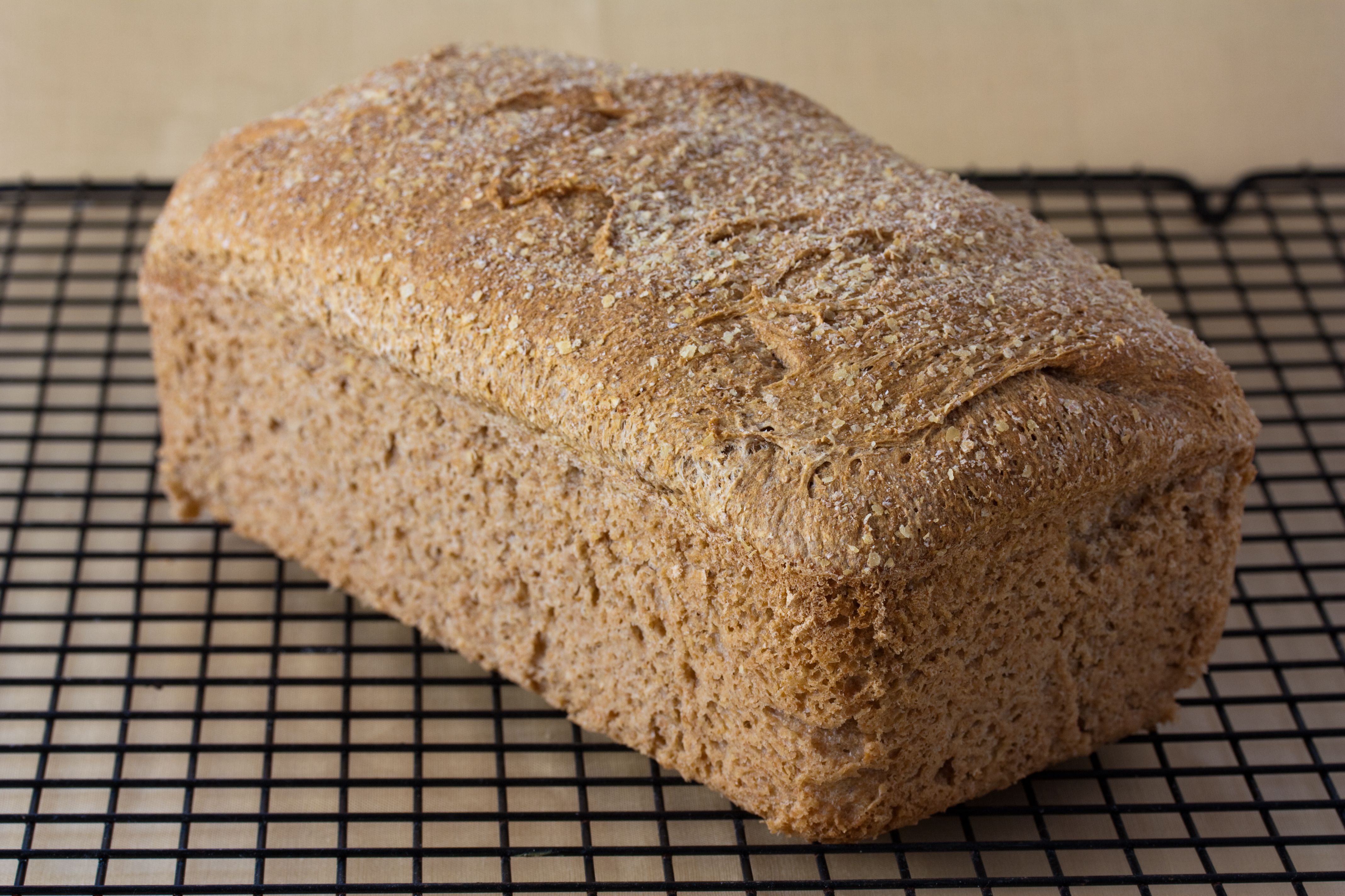 Whole Wheat Bread With Additives (Image Credits: Wikimedia)