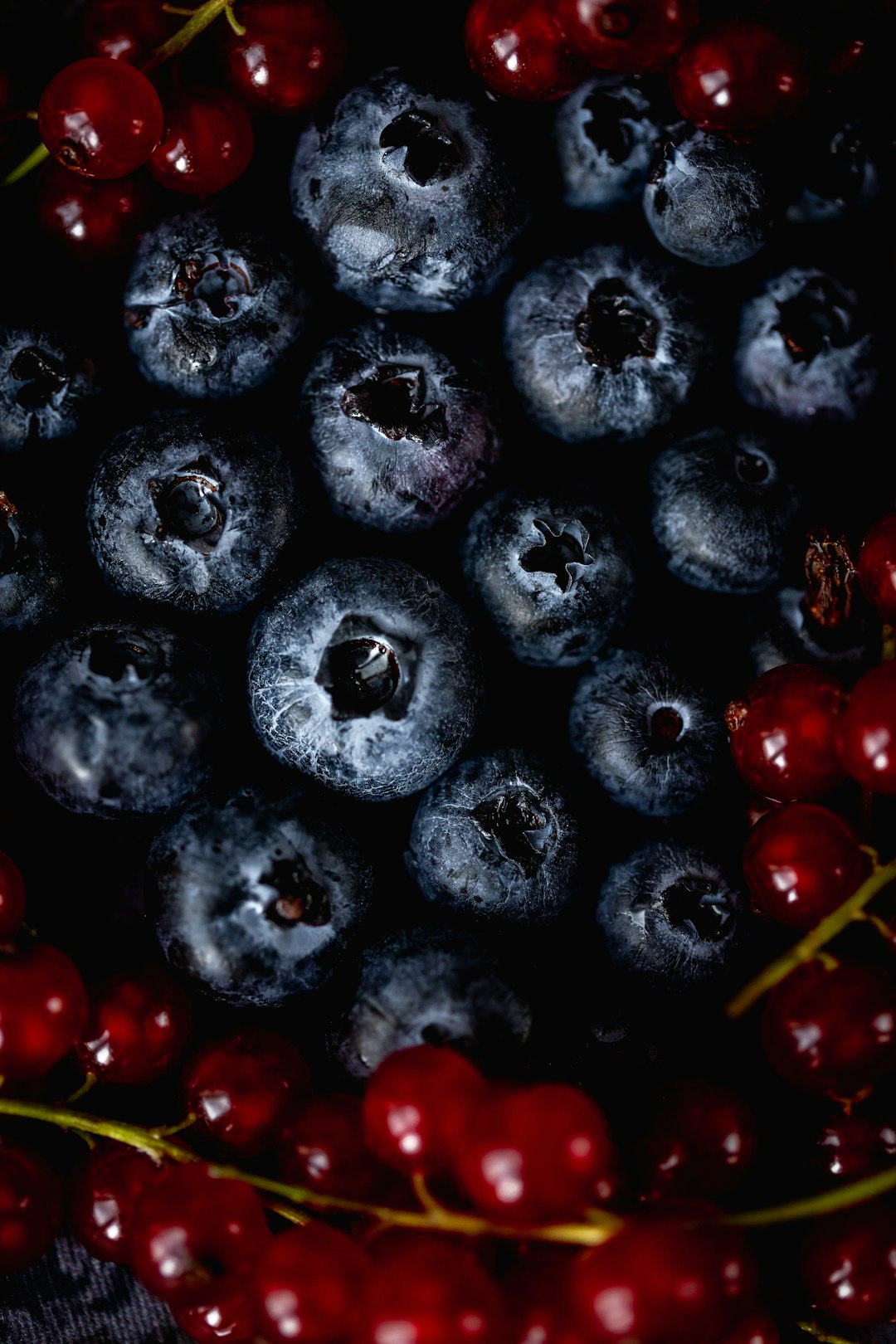 Berries: Small but Mighty Warriors (image credits: unsplash)