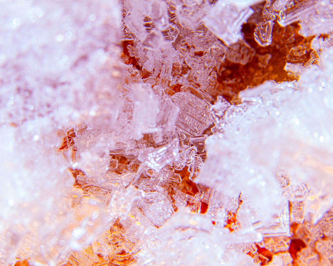 Erythritol - The 