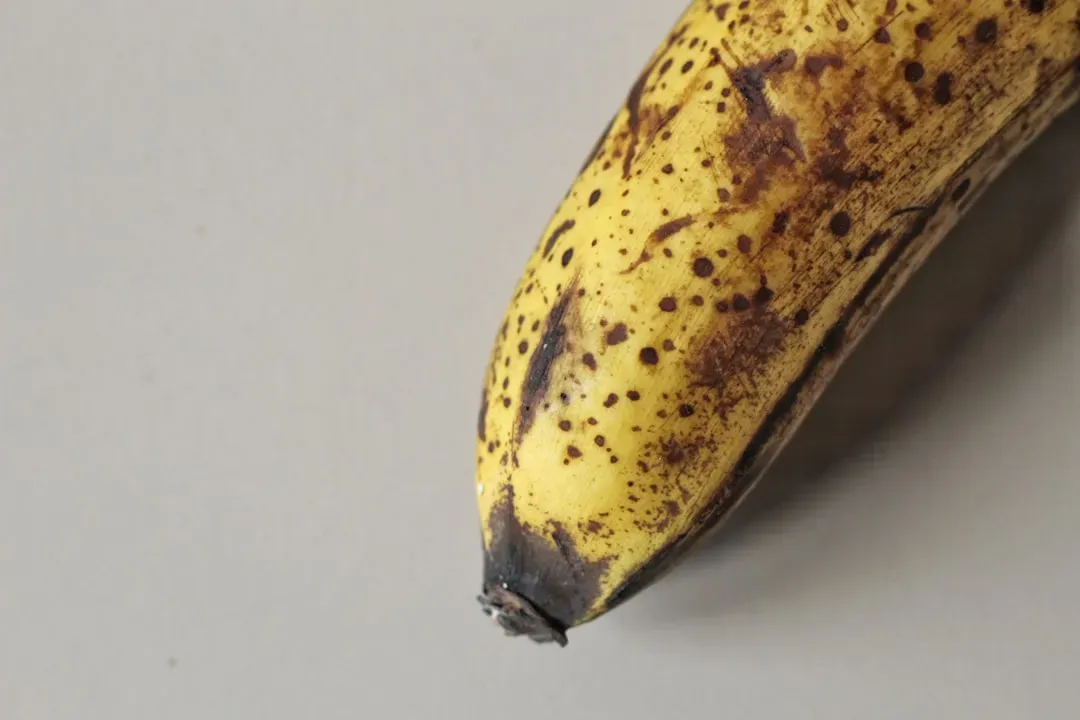 Inspect for Surface Damage (Image Credits: Unsplash)