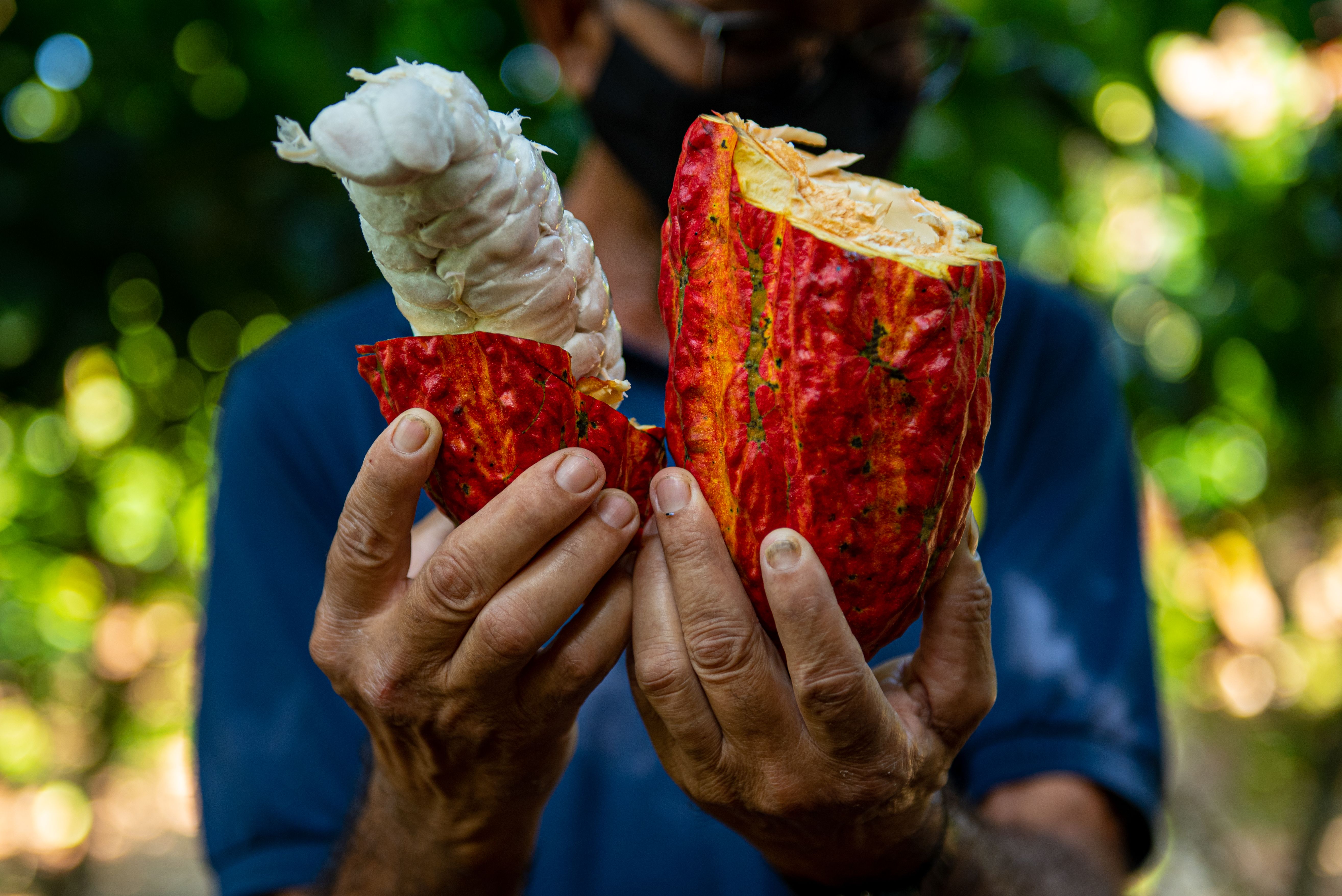 Sustainability and Ethical Sourcing Under Pressure (image credits: wikimedia)